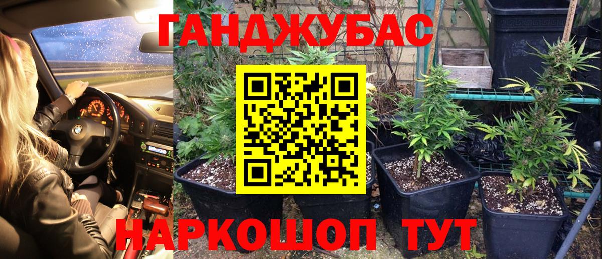 Канабис Bruce Banner  Вход с VPN  Новоуральск  Конопля SATIVA & INDICA  Бошки Шишки семена 